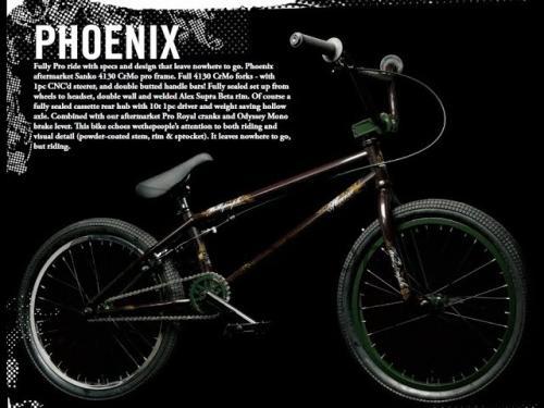 WeThePeople Phoenix ficha técnica y opiniones